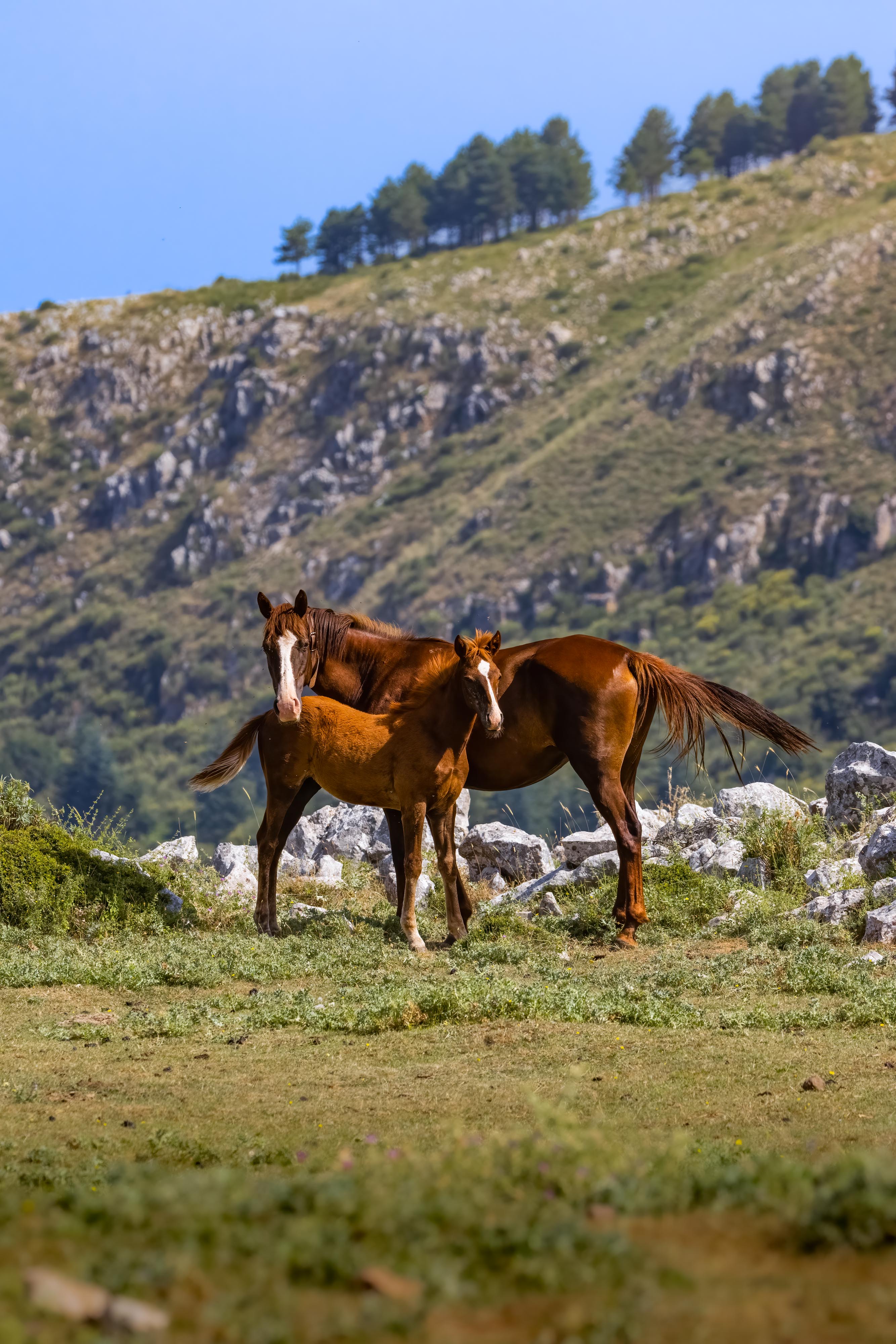 Madre e figlio