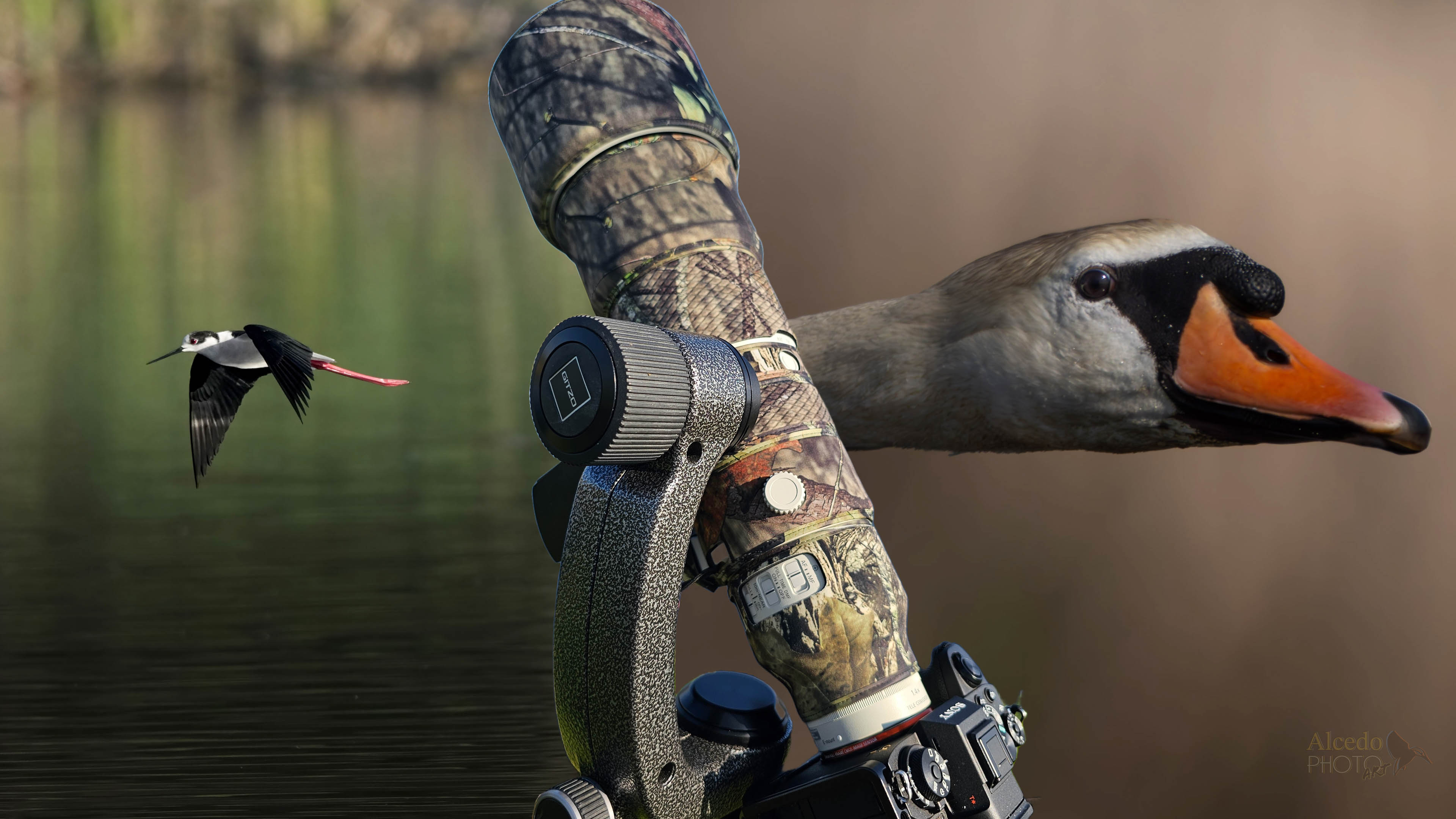 SONY 400-800/6.3-8 FE G OSS: NUOVE PROVE – PRIMI ACCESSORI                                                       (Foto: Antonio Testo: Leone)
