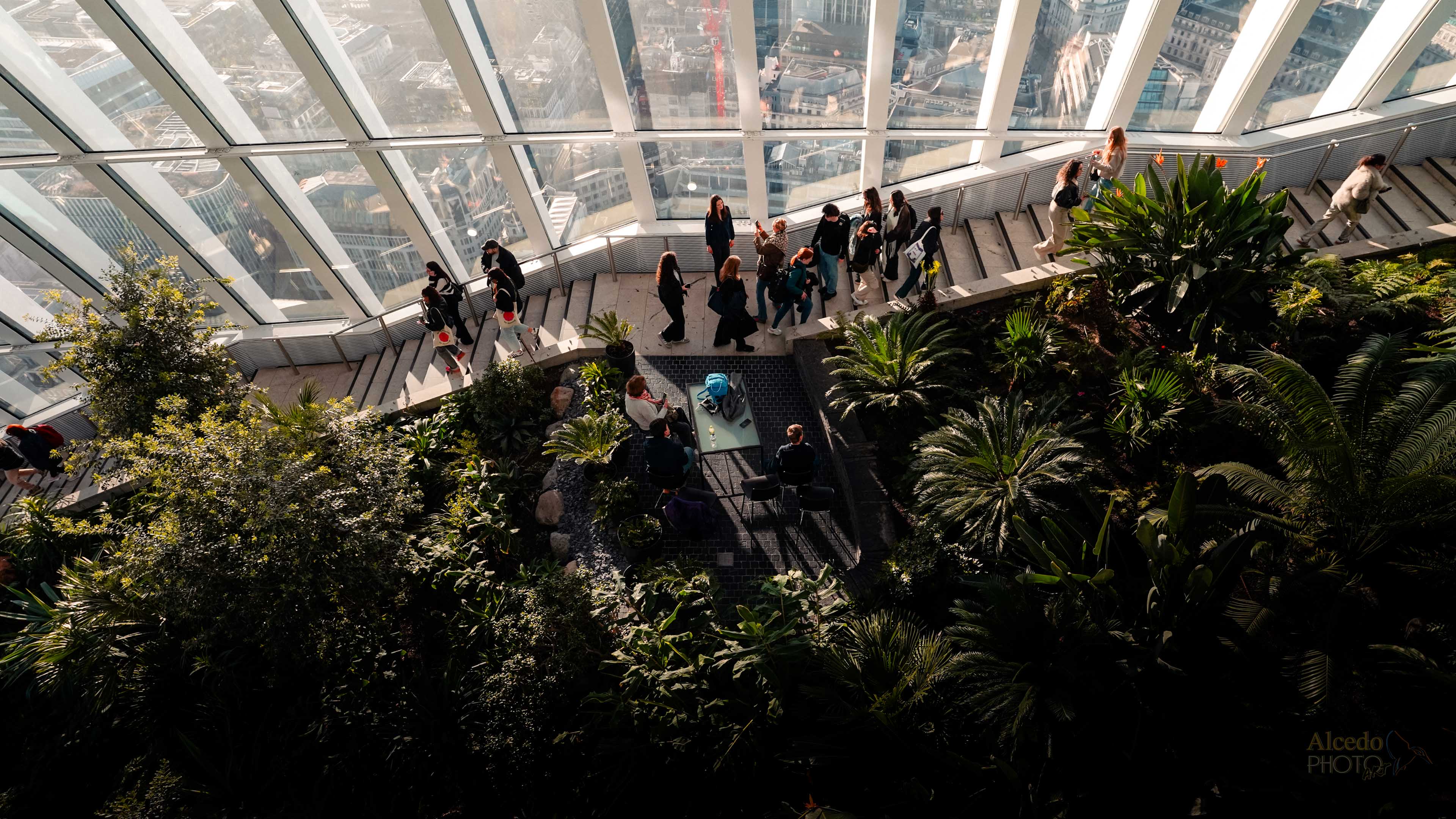 Sky Garden plants