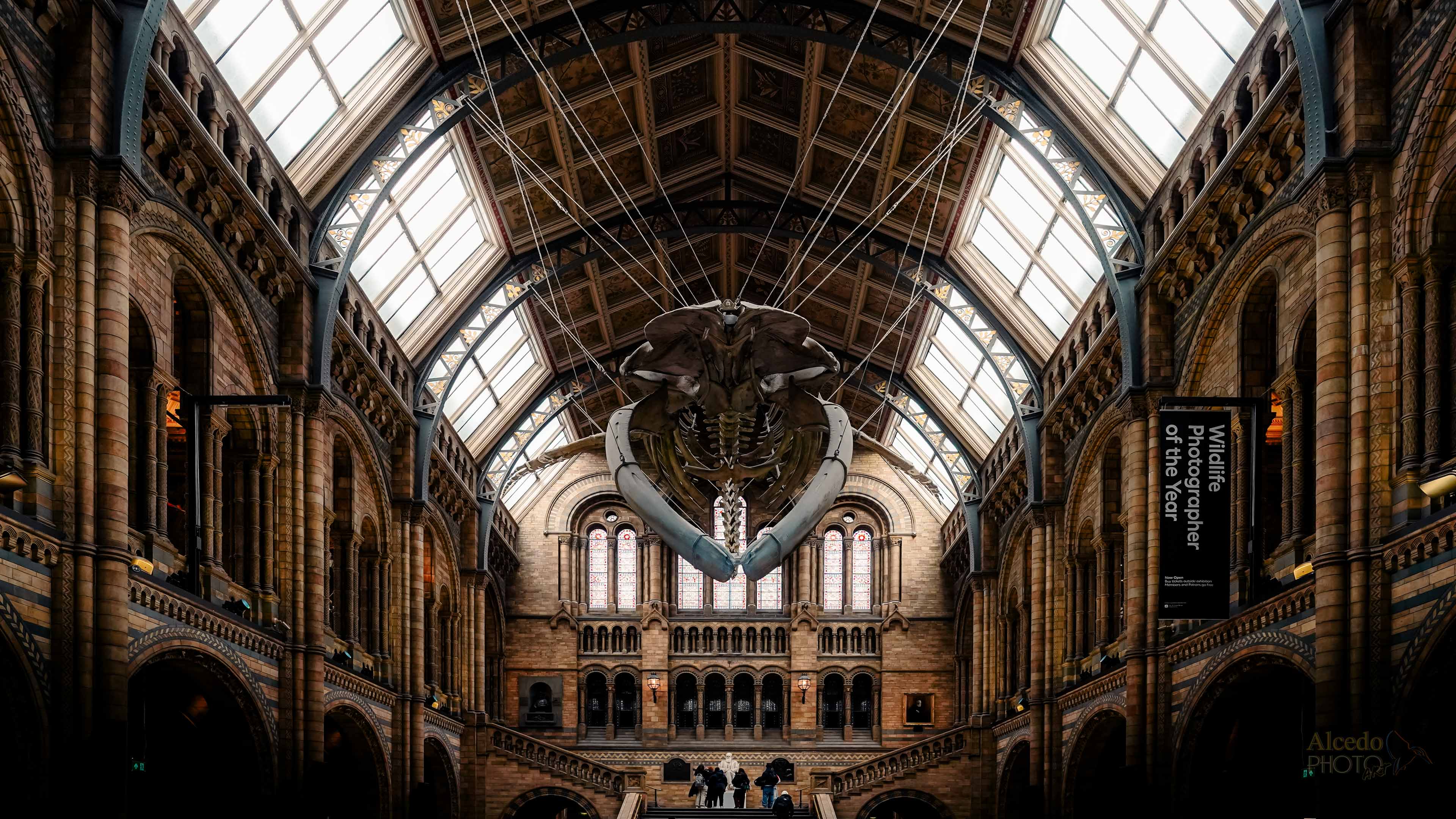 Natural History Museum, hall