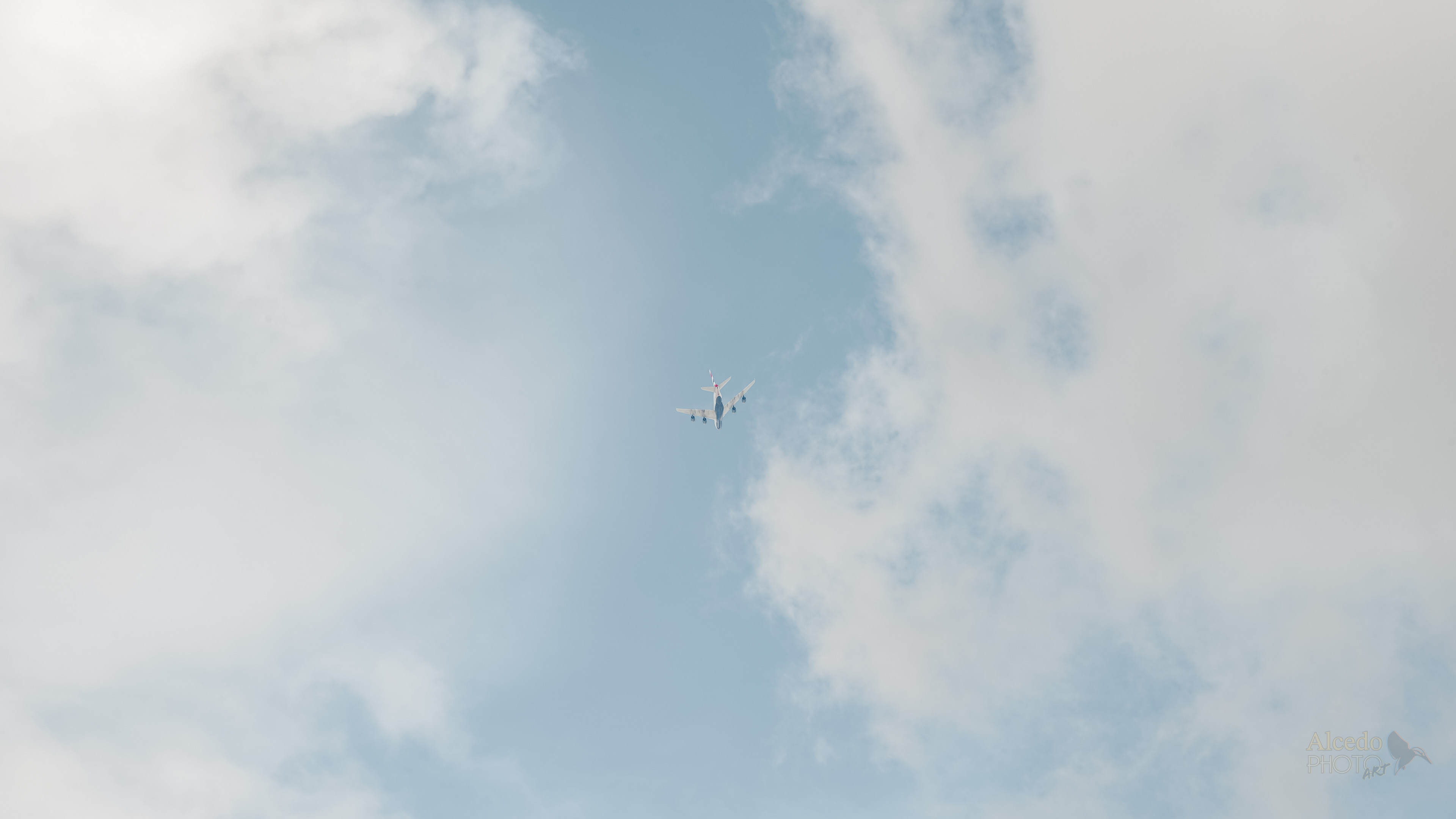 Pastel flight
